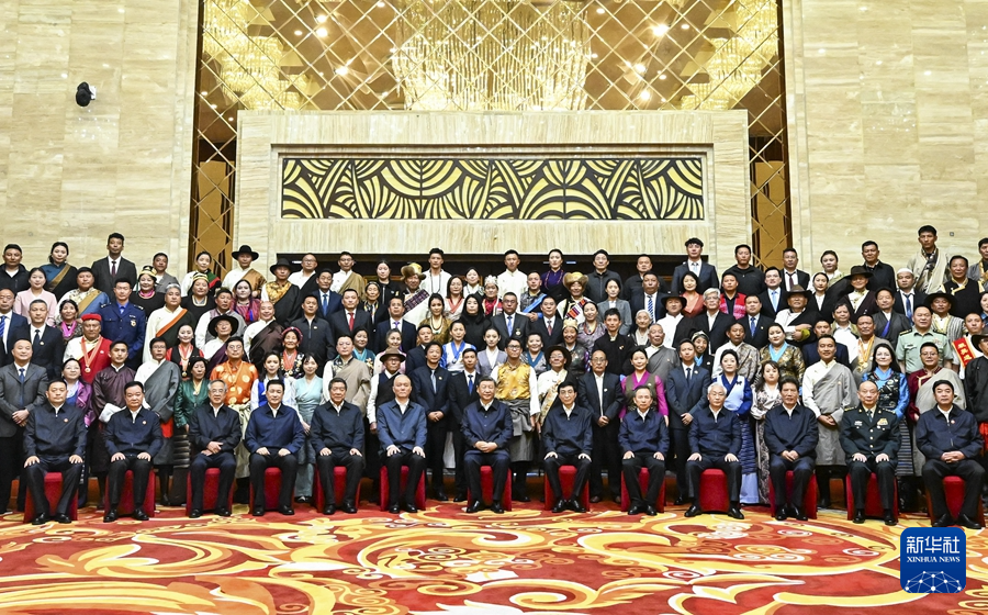 习近平接见西藏各族各界代表
