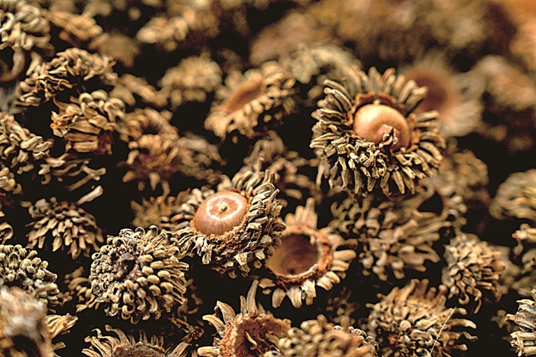 从玄皂到元青&mdash;&mdash;黑的色彩文化史